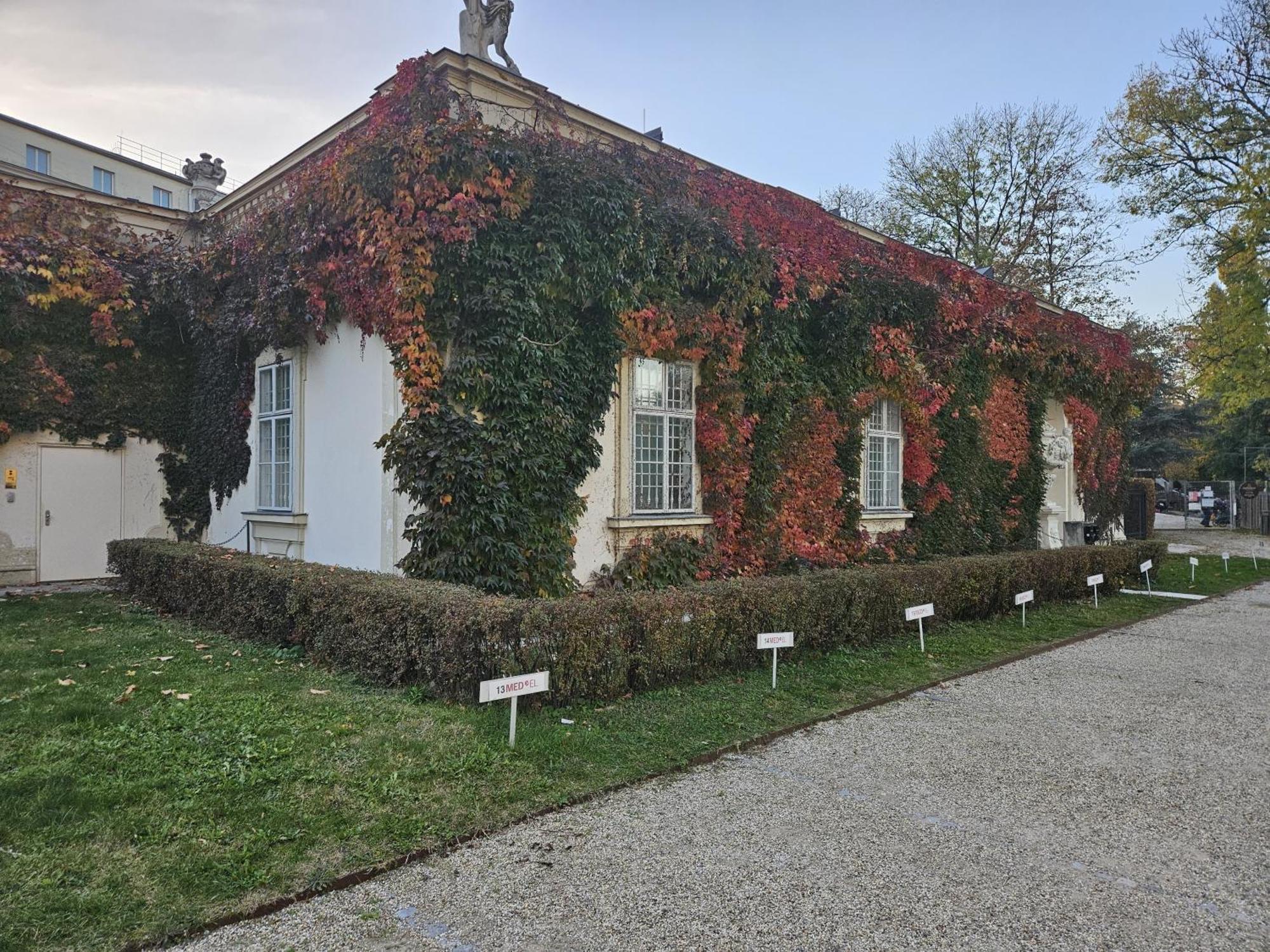 Mauthaus Lichtenstein 비엔나 외부 사진